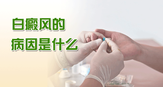 白癜風病因
